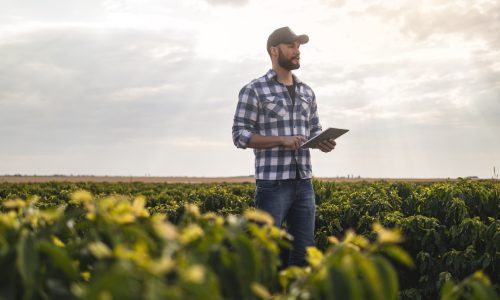 Man in a coffee plantation. Researcher. Photo of a man in a coffee plantaction. Researcher.